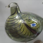 477 6260 Glasfågel